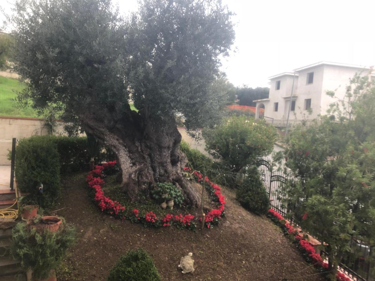 B&B Rosa Dei Venti Розето-Капо-Спулико Экстерьер фото